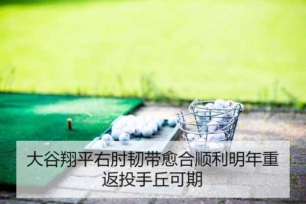 大谷翔平右肘韧带愈合顺利明年重返投手丘可期